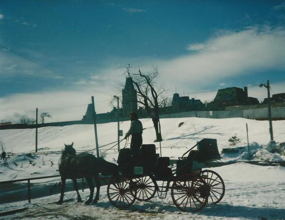 nice day for a buggy ride in old Quebec
